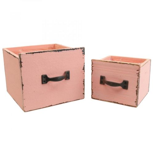 Floristik24 Cajón para plantas jardinera de madera Melocotón 12,5/16cm juego de 2
