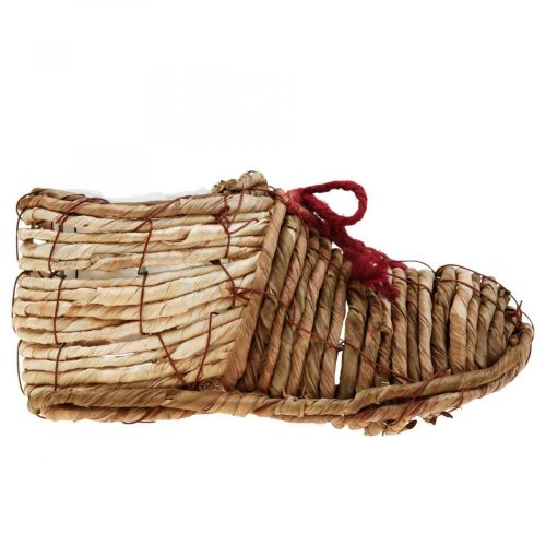 Floristik24 Zapato macetero para plantar algas marinas 22,5×10×12cm