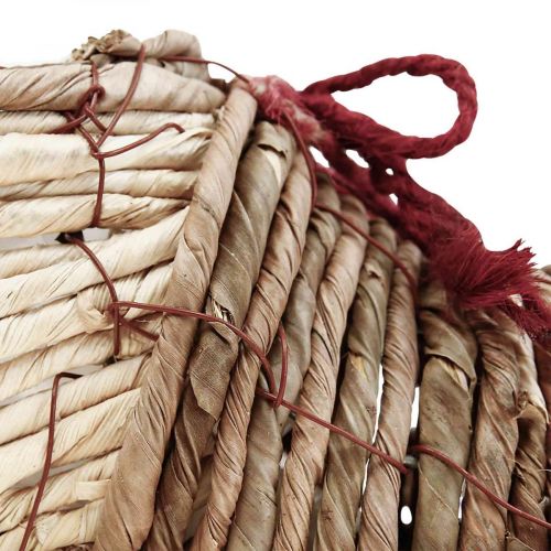 Floristik24 Zapato macetero para plantar algas marinas 22,5×10×12cm