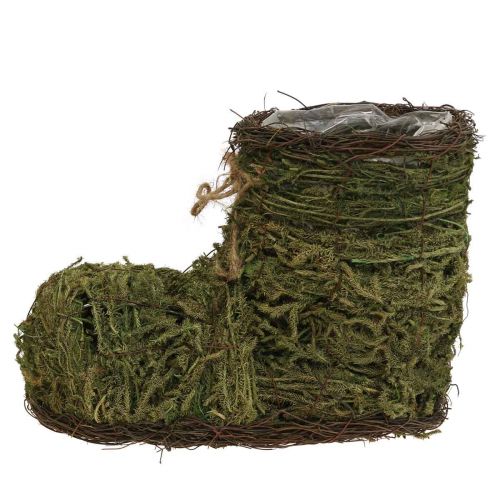 Artículo Zapato macetero para plantar musgo y vid 30×14×21cm