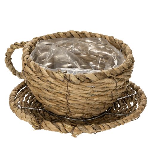 Artículo Cesta de té para decoración natural del hogar y ambiente encantador 15cm