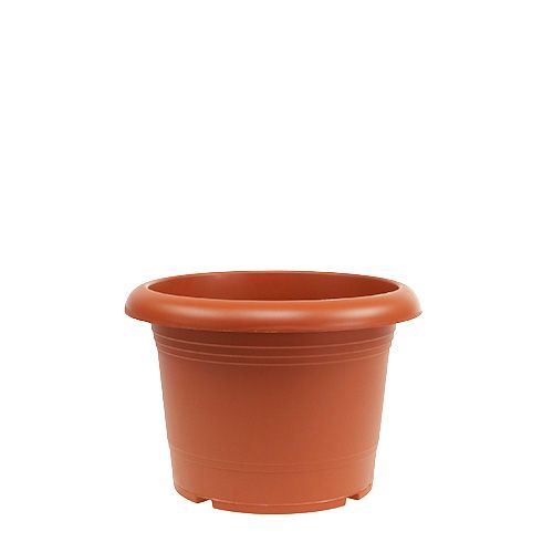 Floristik24 Macetero "Oliver" terracota Ø15cm