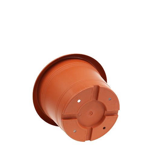Floristik24 Macetero "Oliver" terracota Ø15cm