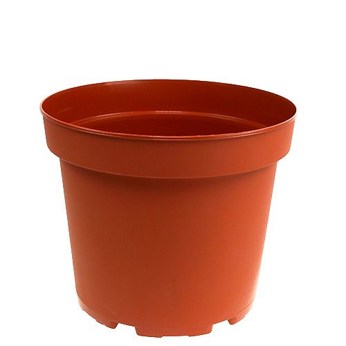 Floristik24 Maceta plastico Ø19cm 10uds