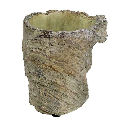 Floristik24 Macetero tronco de árbol Ø11,5cm H14cm 2pcs