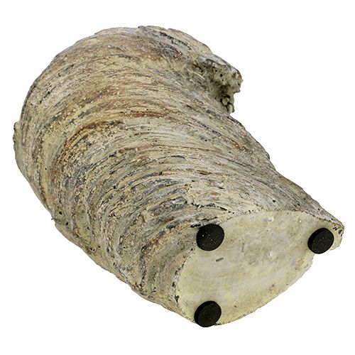 Floristik24 Macetero tronco de árbol Ø11,5cm H14cm 2pcs