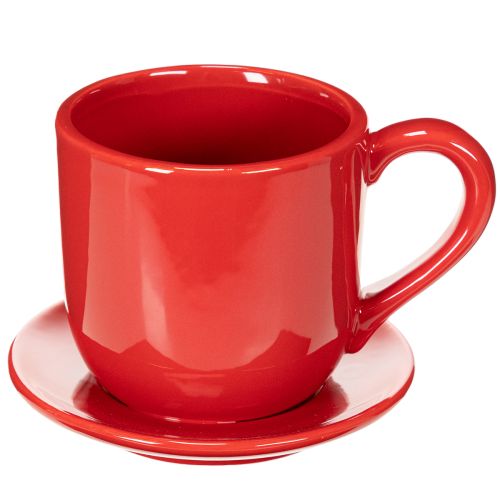 Taza decorativa grande con platillo, apta como maceta, 17 cm. | Floristik24.es