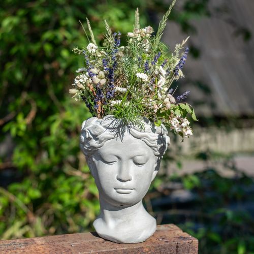 Floristik24 Maceta busto cabeza de planta lavada en blanco hormigón Ø10cm H21cm