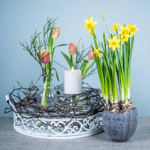 Floristik24 Macetero cáscara de huevo Ø12cm H11.5cm 6pcs