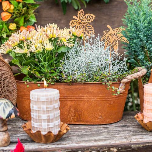 Floristik24 Macetero con asas, cuenco para hierbas, decoración otoñal, pátina L28cm H11cm