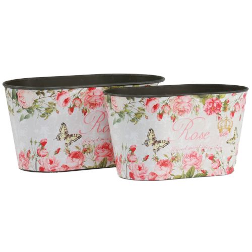 Floristik24 Maceta con rosas, recipiente decorativo, bandeja para flores 21,5 cm / 18,5 cm, juego de 2