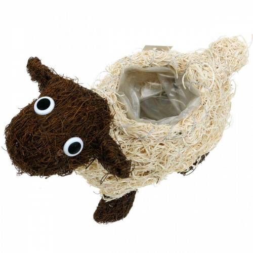 Artículo Macetero oveja vid marrón blanqueado 35×14cm H26cm
