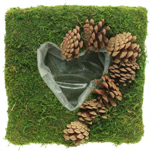 Cojín vegetal corazón musgo y conos cuadrado 25 × 25cm