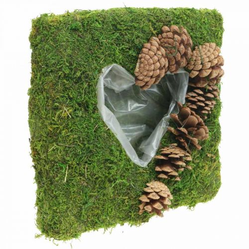Floristik24 Cojín vegetal corazón musgo y conos cuadrado 25 × 25cm