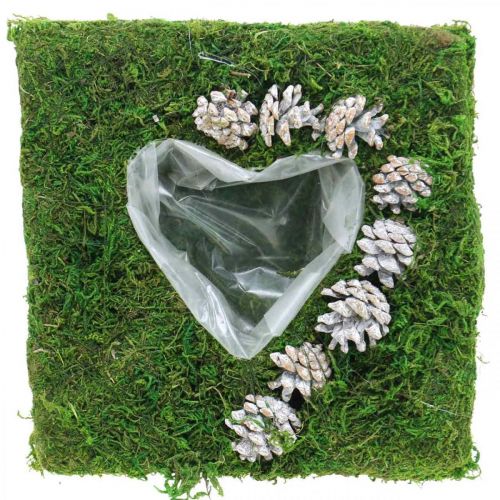 Cojín vegetal corazón musgo y conos, blanco lavado 25 × 25cm
