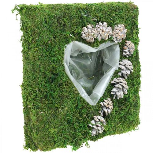 Floristik24 Cojín vegetal corazón musgo y conos, blanco lavado 25 × 25cm
