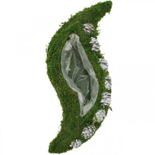 Floristik24 Jardinera musgo y conos verde ondulado, blanco lavado 41 × 15cm