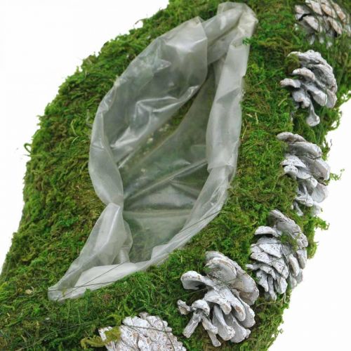 Floristik24 Jardinera musgo y conos verde ondulado, blanco lavado 41 × 15cm