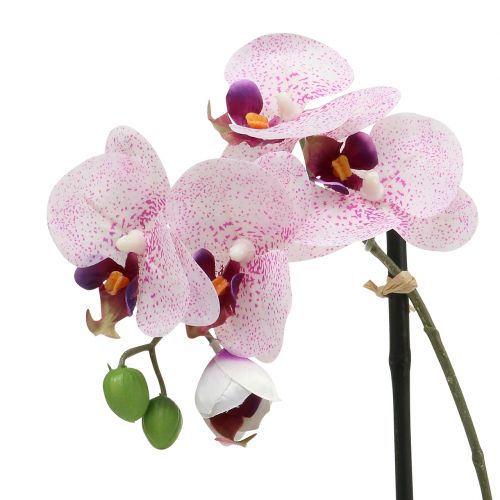 Artículo Phalaenopsis Artificial Púrpura-Blanco en Copa H38cm