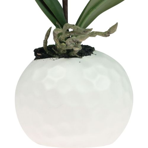 Artículo Orquídeas artificiales en maceta Phalaenopsis flores artificiales orquídeas rosa 34cm