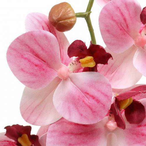 Rama de orquídea artificial Phaelaenopsis rosa H49cm