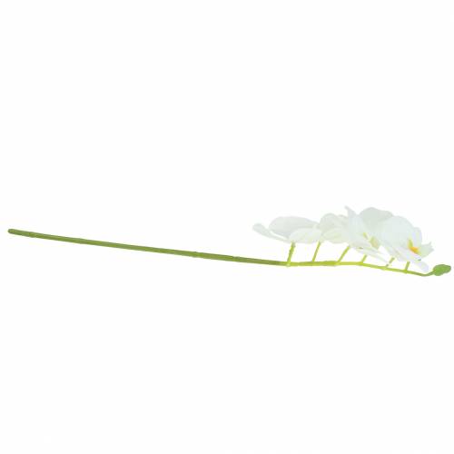 Floristik24 Rama de orquídea artificial Phaelaenopsis blanco H49cm