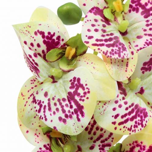Rama de orquídea artificial Phaelaenopsis Verde Rosa H49cm