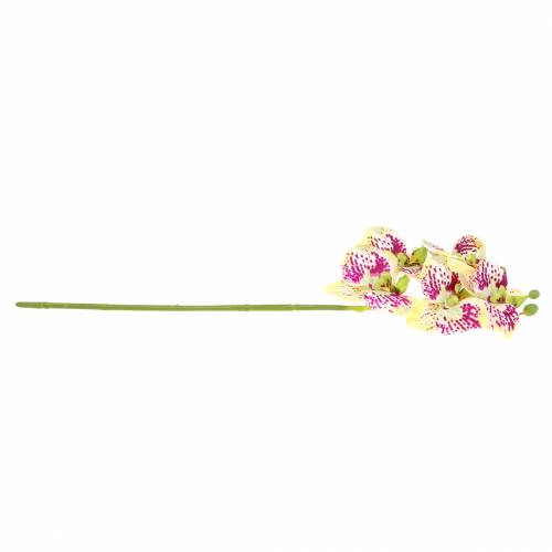 Artículo Rama de orquídea artificial Phaelaenopsis Verde Rosa H49cm