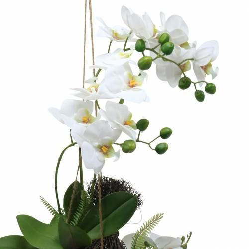 Artículo Orquídea con Bolas de Helecho y Musgo Artificial Blanco Colgante 64cm