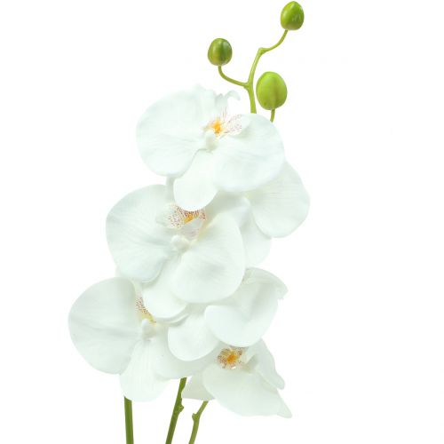 Floristik24 Orquidea Phalaenopsis artificial blanca 80cm