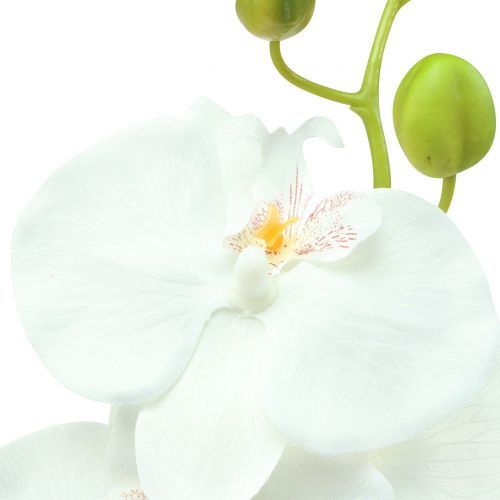 Floristik24 Orquidea Phalaenopsis artificial blanca 80cm