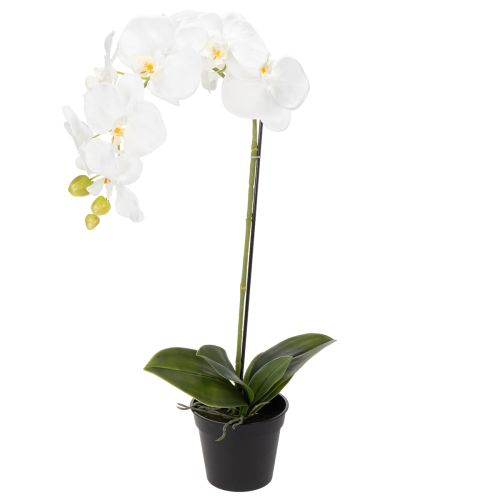 Planta de orquídea artificial, engañosamente realista, para decoración de oficina y sala de estar, 62 cm