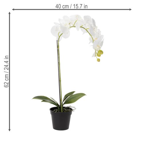 Artículo Planta de orquídea artificial, engañosamente realista, para decoración de oficina y sala de estar, 62 cm
