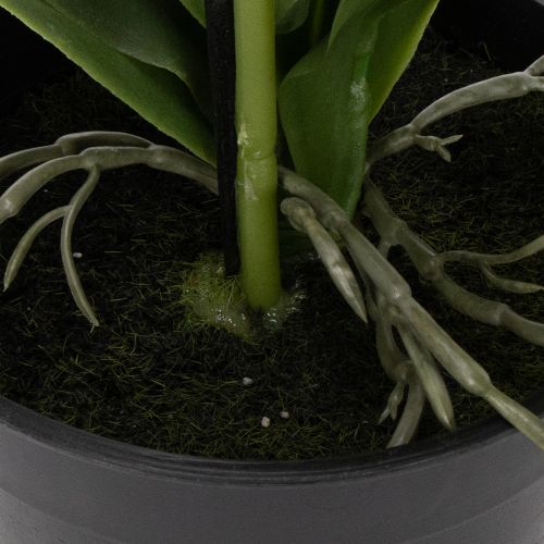 Artículo Planta de orquídea artificial, engañosamente realista, para decoración de oficina y sala de estar, 62 cm