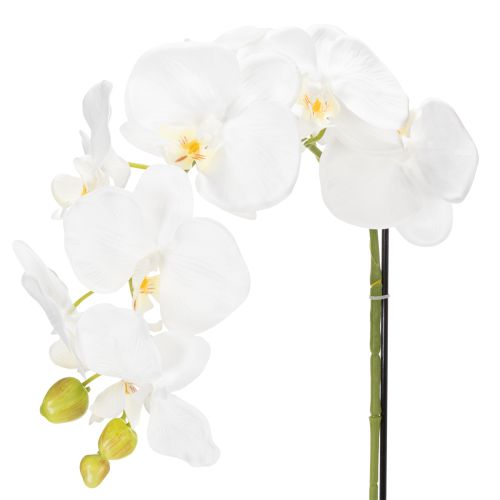 Artículo Planta de orquídea artificial, engañosamente realista, para decoración de oficina y sala de estar, 62 cm