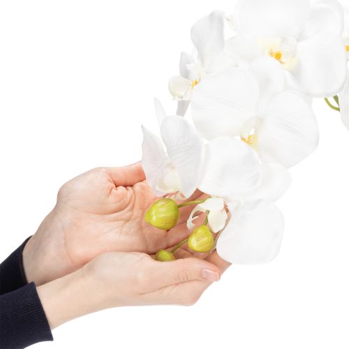 Artículo Planta de orquídea artificial, engañosamente realista, para decoración de oficina y sala de estar, 62 cm
