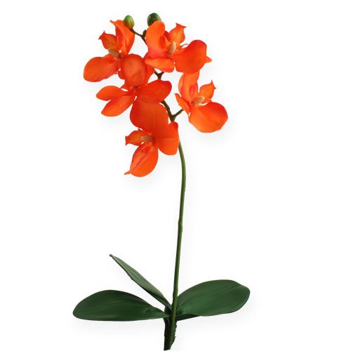 Floristik24 Orquídea artificial con hojas de naranja 35cm
