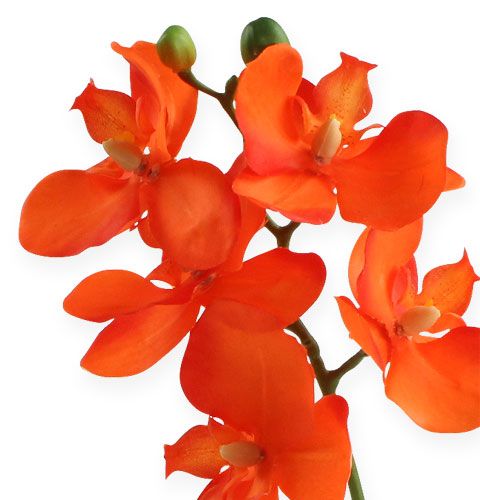 Floristik24 Orquídea artificial con hojas de naranja 35cm