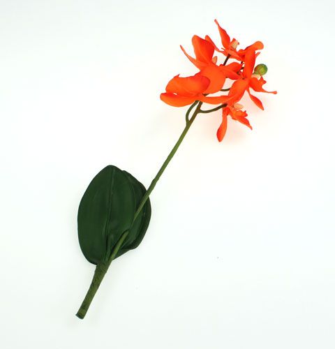 Floristik24 Orquídea artificial con hojas de naranja 35cm