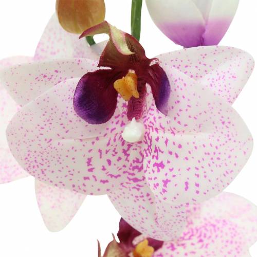 Artículo Orquídea artificial phaleanopsis blanca, púrpura 43cm