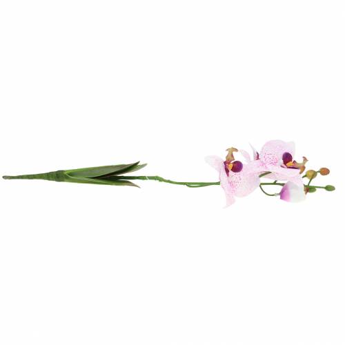 Artículo Orquídea artificial phaleanopsis blanca, púrpura 43cm
