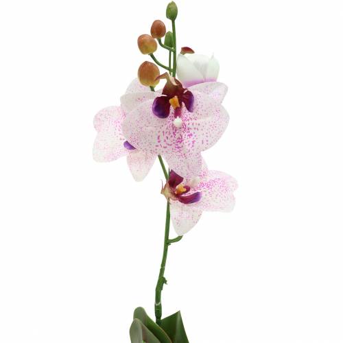 Artículo Orquídea artificial phaleanopsis blanca, púrpura 43cm
