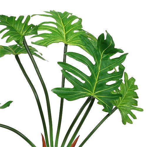 Floristik24 Philodendron planta artificial verde 58cm