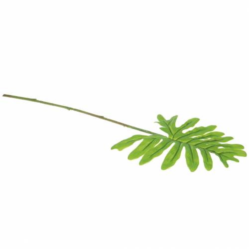 Floristik24 Filodendro Hoja Verde 40cm