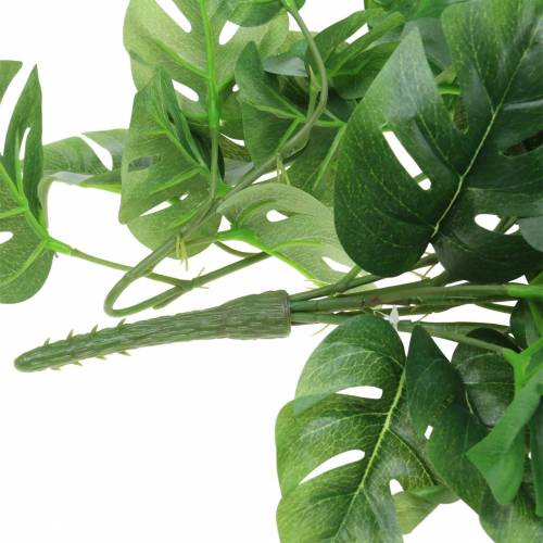 Floristik24 Percha filodendro verde 85cm