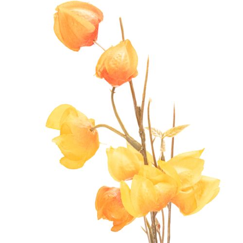 Planta artificial de farolillo chino, rama de Physalis con flores, 95 cm | Floristik24.es