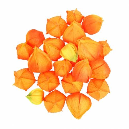 Floristik24 Physalis Naranja Surtido 22uds cálices artificiales decorativos