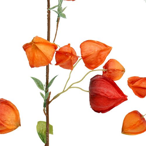 Floristik24 Physalis branch 90cm naranja 3pcs