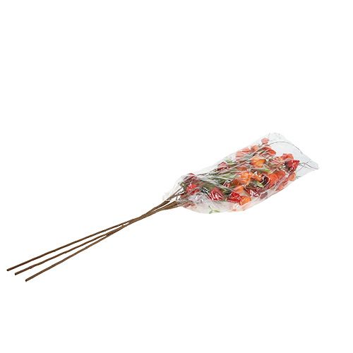 Floristik24 Physalis branch 90cm naranja 3pcs