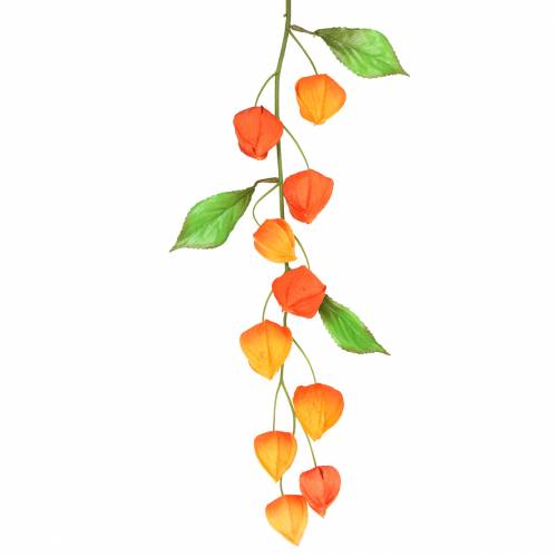 Floristik24 Rama de Physalis naranja artificial 78cm